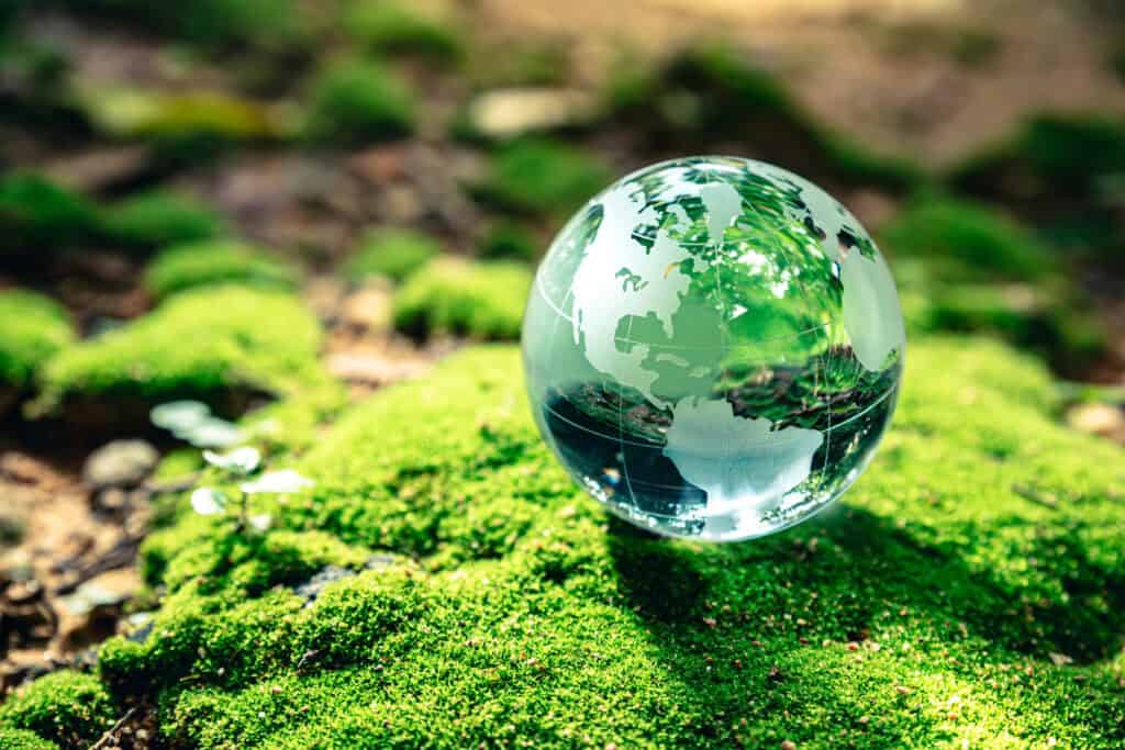 A crystal globe sits on moss in a forest