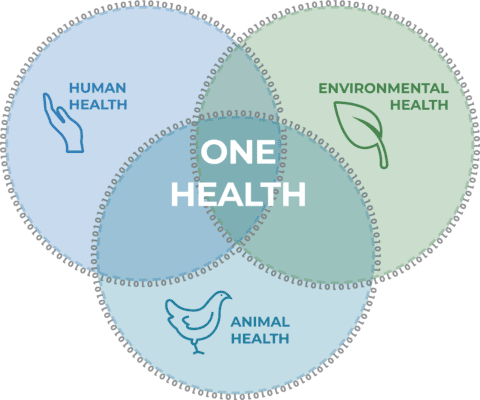 The One Health approach acknowledges that human health is intrinsically linked with animal health and the environment, requiring multi-sectoral collaboration across government ministries.